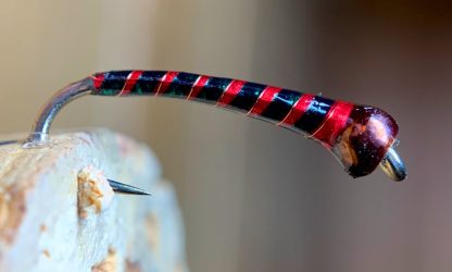 Dark Green & Red Window Tint Cape Pupa