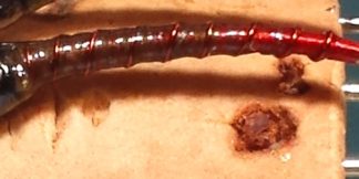 Mud & Blood Chironomid Pupa Fly