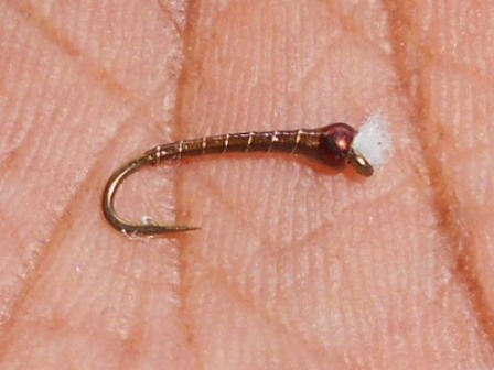 Olive King (Olive & Gold) Chironomid Pupae Fly Pattern