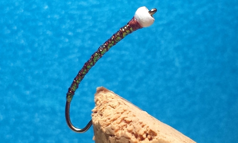 UV Straggle (Vampire) Leech Fly