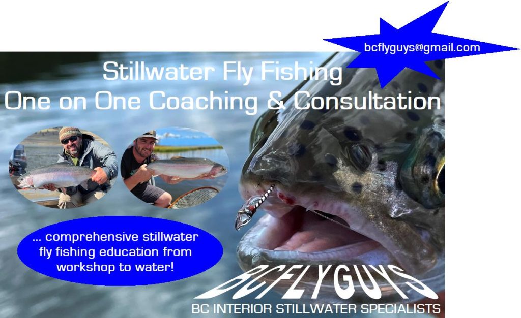 Stillwater Fly Fishing Instruction & Education