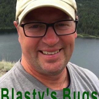 Blasty's Bugs