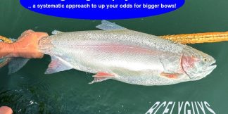 Targeting Trophy Trout - BCFLYGUYS eSeminar PDF