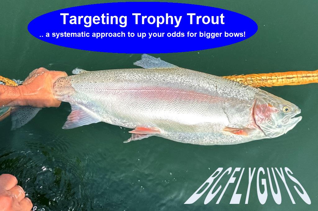 Targeting Stillwater Trophy Trout