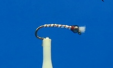 LSD Chironomid Pupa Fly - Rust