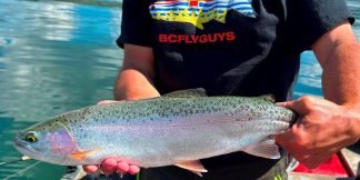 BCFLYGUYS Flag Trout Tee - Fly Fishing Beautiful British Columbia