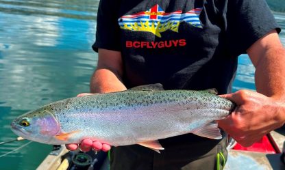 BCFLYGUYS Flag Trout Tee - Fly Fishing Beautiful British Columbia